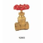 12003 BRASS GATE VALVE