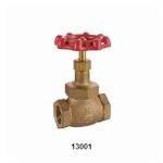 13001 BRONZE GLOBE VALVE 1