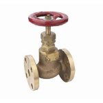 20004 BRONZE FLANGE GLOBE VALVE