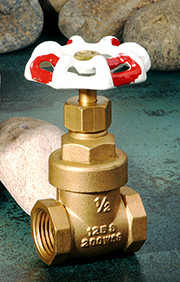 Gate Valve